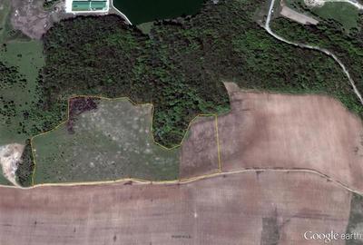 Teren Construcții extravilan de 400000 mp, în Herneacova - 1
