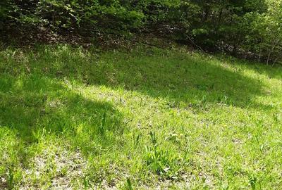 Teren de 4525 mp, în Vidra