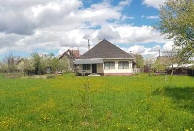 Casă cu 3 camere în Oglinzi - 2