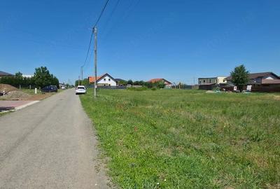 Teren de 713 mp, în Dumbrăvița - 3