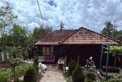 Casă cu 3 camere cu Teren 2700 Mp în Bertea