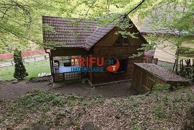 Casă cu 4 camere în Ighiel - 10