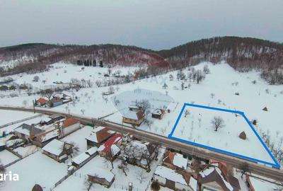 Teren de 3000 mp, în Bratca - 3