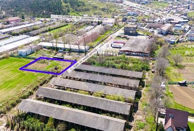 Teren Construcții intravilan de 987 mp, în Tomești