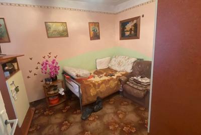 Casă cu 5 camere cu Teren 1490 Mp în Vladimirescu - 2