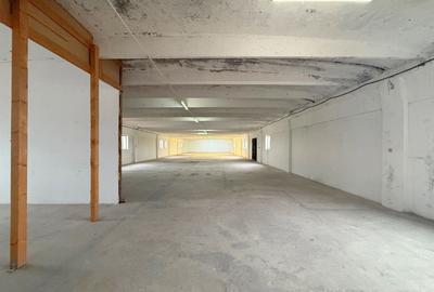 Spațiu industrial, de 1,690 mp, în Fratelia - 8