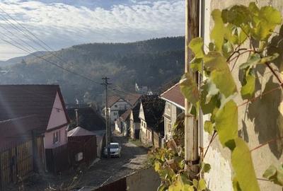 Casă cu 2 camere în Vale - 4