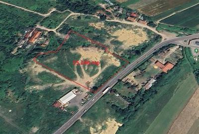 Teren Construcții intravilan de 5000 mp, în Movilei - 1