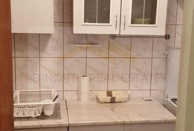 Apartament cu 3 camere decomandat, mobilat în Tineretului - 8