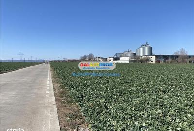 Teren de 98000 mp, în Păulești - 5