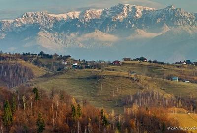 Teren Construcții intravilan de 21000 mp, în Măgura - 5