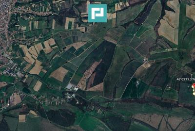 Teren de 43400 mp, în Vărădia de Mureș