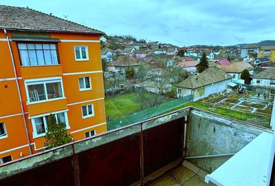 Apartament cu 2 camere semidecomandat în Vitrometan - 1