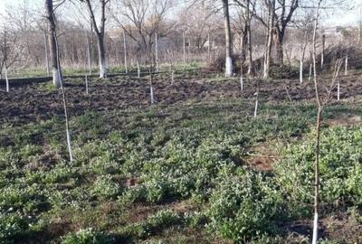 Casă individuală cu 3 camere cu Teren 2400 Mp în Salcia - 2
