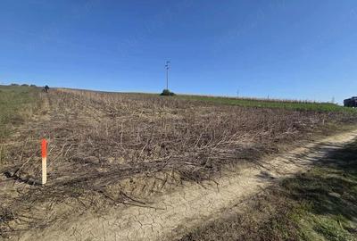 Teren de 5000 mp, în Cătămărești