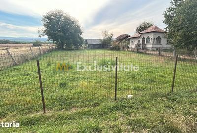 Teren de 520 mp, în Băiculești