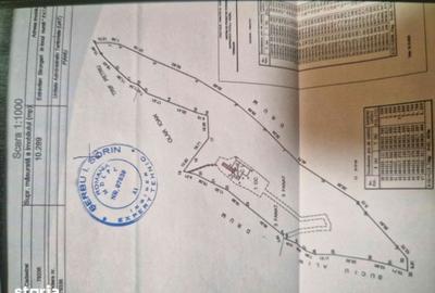 Casă cu 5 camere cu Teren 10300 Mp în Pianu