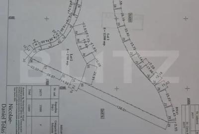 Teren de 15000 mp, în Viișoara - 2