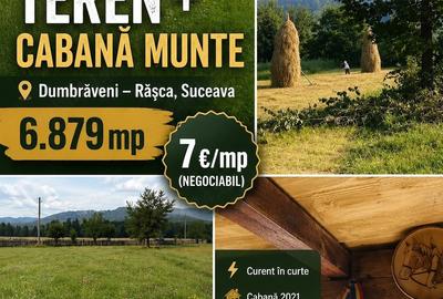 Teren de 6879 mp, în Dumbrăveni - 10