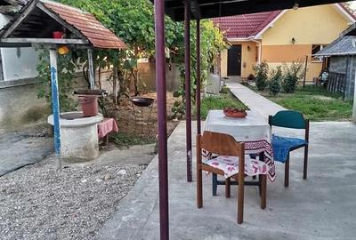 Casă cu 1 camere cu Teren 1500 Mp în Vlăduleni