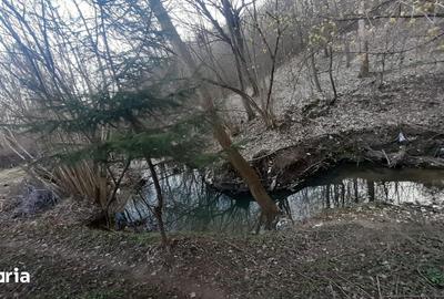 Teren de 500 mp, în Moșoaia - 8