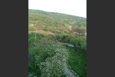 Casă cu 3 camere cu Canalizare în Drajna de Jos - 4