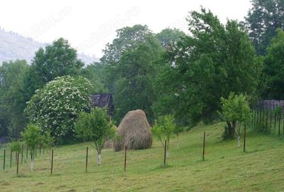 Teren de 1000 mp, în Teșila - 2