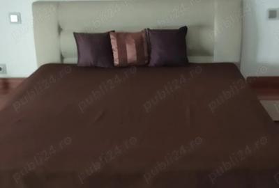 Apartament cu 2 camere decomandat în Elisabetin - 1