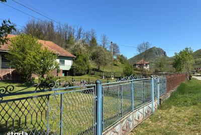 Casă cu 4 camere cu Teren 7247 Mp în Băița - 1