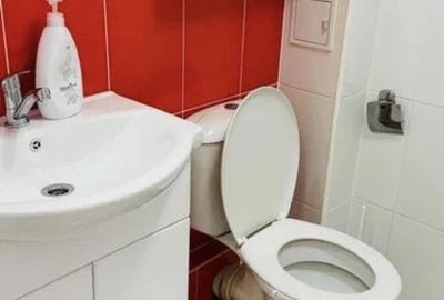 Garsonieră în Theodor Pallady