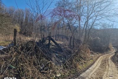 Teren de 4985 mp, în Sascut - 14
