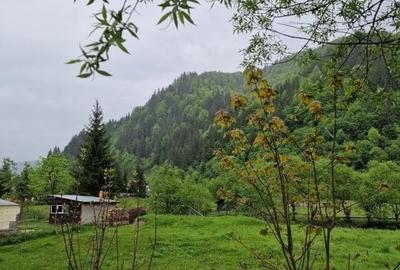 Teren Construcții intravilan de 1775 mp, în Sătic - 9