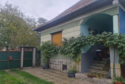Casă cu 4 camere cu Teren 2550 Mp în Stupini