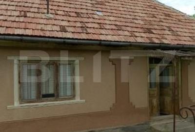 Casă cu 3 camere în Ruginoasa - 8