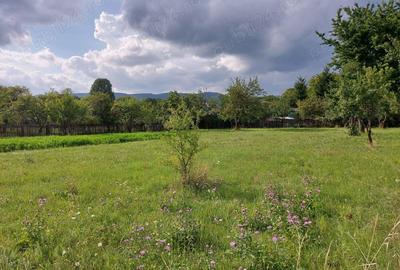 Teren de 2900 mp, în Estelnic - 4