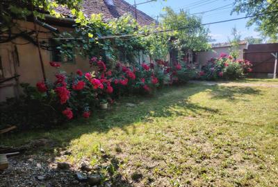 Casă cu 4 camere în Copăcel
