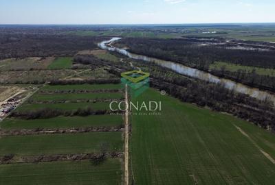 Teren Construcții intravilan de 102186 mp, în Central - 6