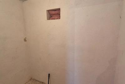 Casă cu 2 camere cu Teren 750 Mp în Biharia - 1