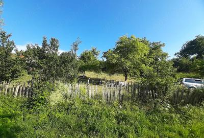 Teren de 830 mp, în Cerișor - 8