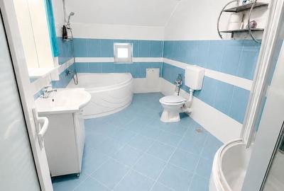 Casă cu 6 camere cu Canalizare în Nufărul - 1