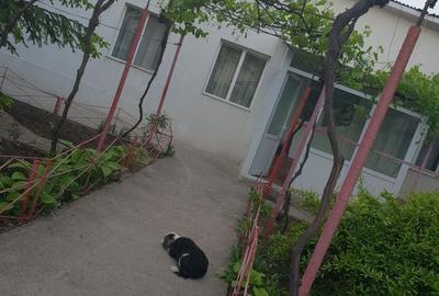 Casă cu Teren 1000 Mp în Nord - 3