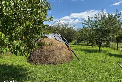 Casă cu 4 camere cu Teren 2224 Mp în Aluniș