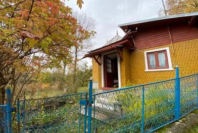 Teren de 6000 mp, în Provița de Sus - 1