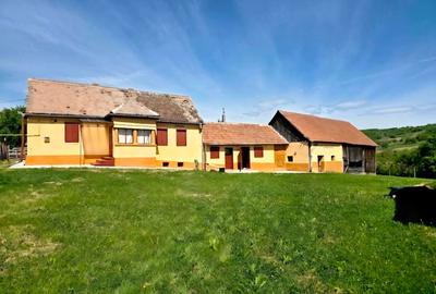 Casă individuală cu 4 camere cu Teren 1280 Mp în Alămor