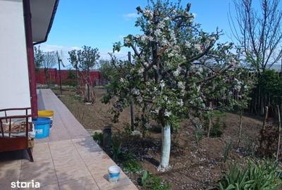 Casă cu 4 camere cu Teren 488 Mp în Miroslava - 2