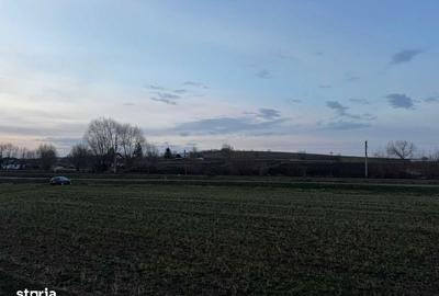 Teren de 7000 mp, în Central - 1