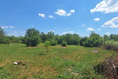 Casă cu 2 camere cu Teren 2400 Mp în Fundata - 4