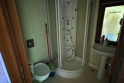 Apartament cu 3 camere decomandat, mobilat în Cioplea - 4