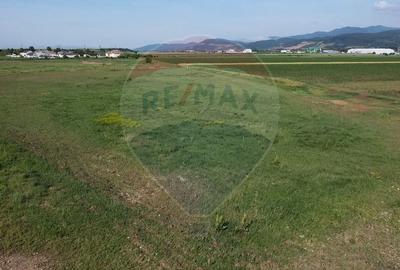 Teren Construcții intravilan de 39500 mp, în Vințu de Jos - 3