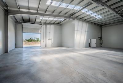 Spațiu industrial, de 585 mp, în Est - 3
